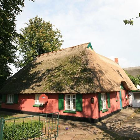 Apartmán Unterm Rohrdach Wustrow  Exteriér fotografie