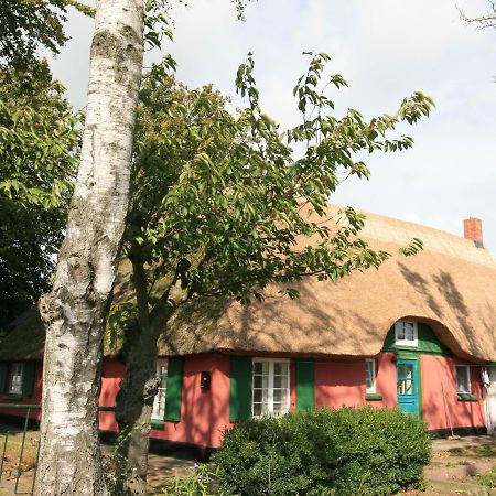 Apartmán Unterm Rohrdach Wustrow  Exteriér fotografie