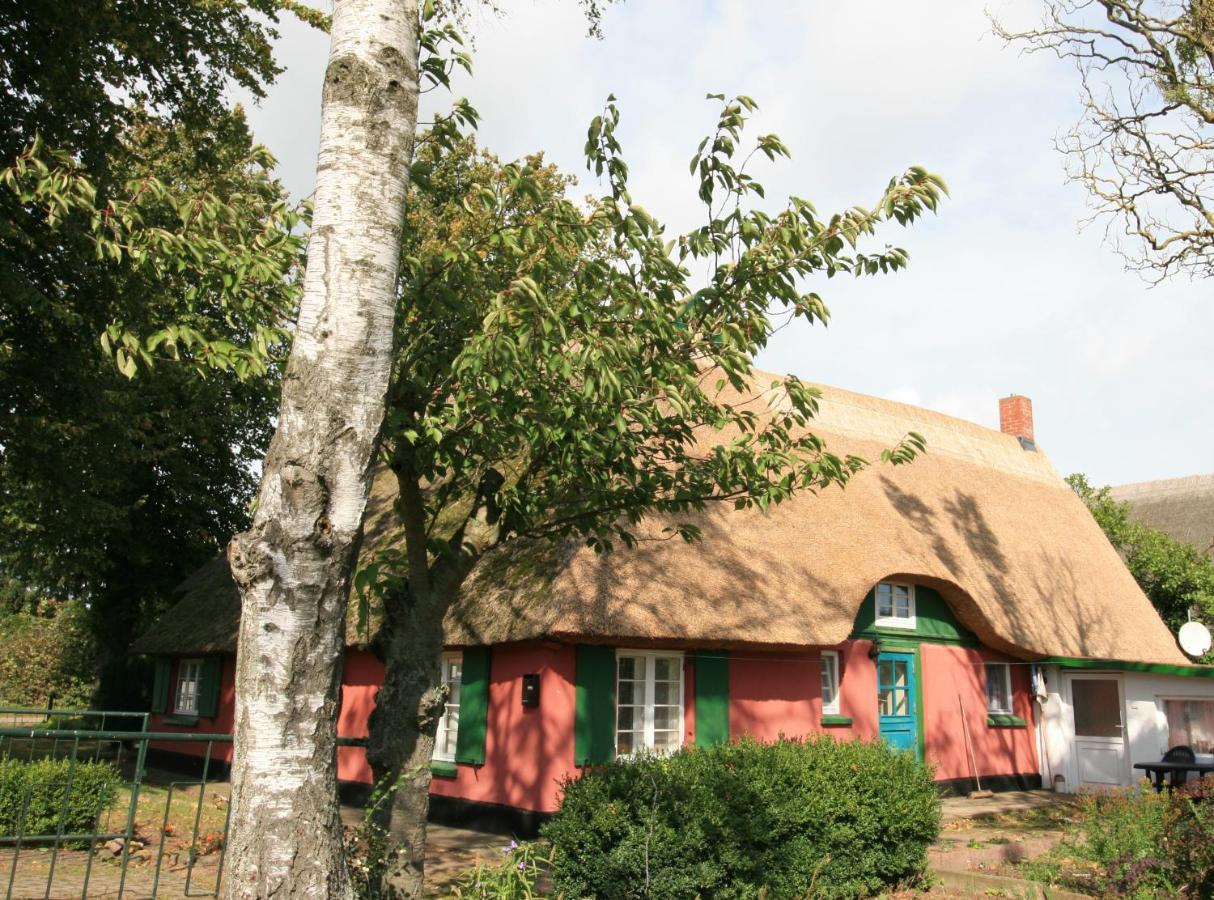 Apartmán Unterm Rohrdach Wustrow  Exteriér fotografie